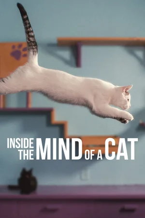 ดูหนังออนไลน์ Inside the Mind of a Cat (2022) คิดแบบแมวๆ