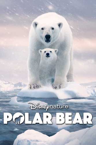 ดูหนังออนไลน์ฟรี Polar Bear (2022) โพล่าแบร์