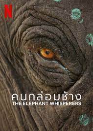 ดูหนังออนไลน์ The Elephant Whisperers – คนกล่อมช้าง (2022)