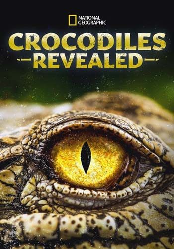 ดูหนังออนไลน์ Crocodiles Revealed (2022)