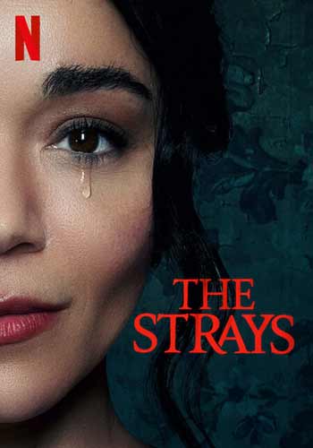 ดูหนังออนไลน์ The Strays (2023) คนหลงทาง